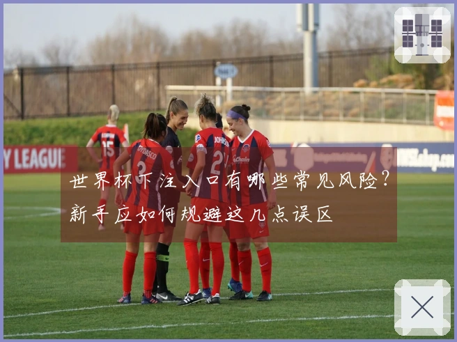 世界杯下注入口有哪些常见风险？新手应如何规避这几点误区