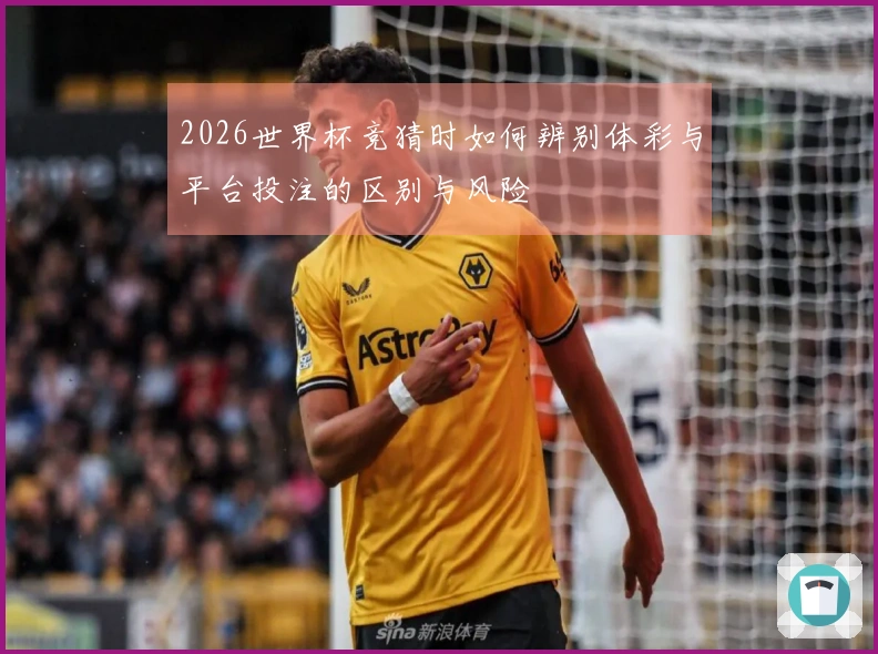 2026世界杯竞猜时如何辨别体彩与平台投注的区别与风险