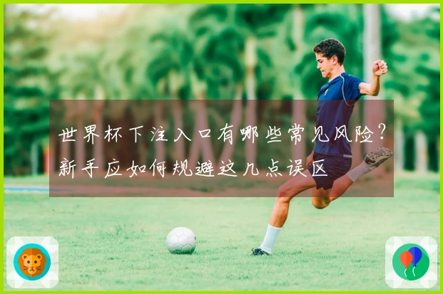 世界杯下注入口有哪些常见风险？新手应如何规避这几点误区