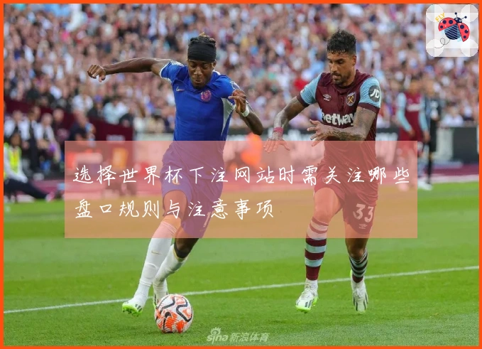 选择世界杯下注网站时需关注哪些盘口规则与注意事项