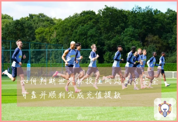 如何判断世界杯投注网站是否安全可靠并顺利完成充值提款