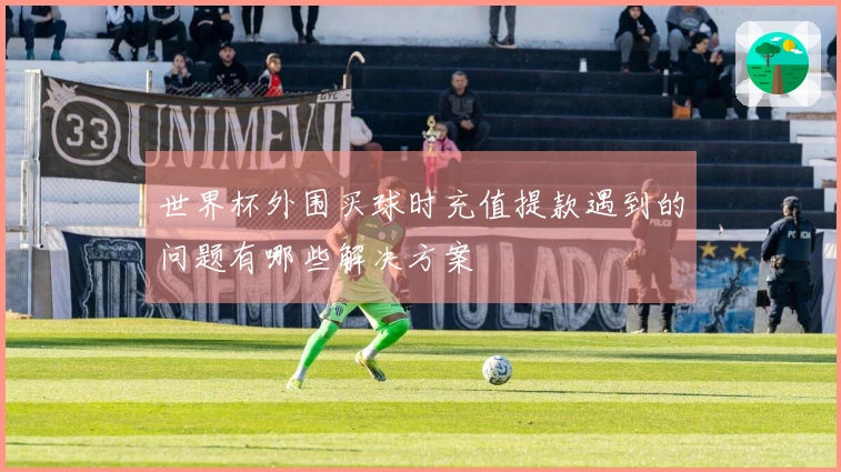 世界杯外围买球时充值提款遇到的问题有哪些解决方案