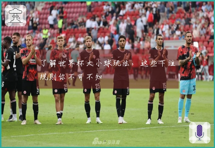 了解世界杯大小球玩法，这些下注规则你不可不知